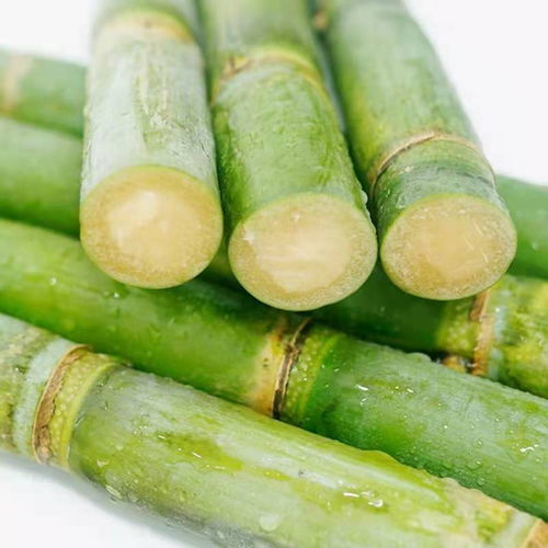 桂林山水甲天下，廣西綠皮甘蔗鮮天下 當季整箱批發，孕婦食之安全