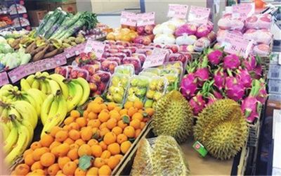 衡陽鮮果邦城市水果倉儲中心加盟新機遇 攜手共創鮮果零售新篇章